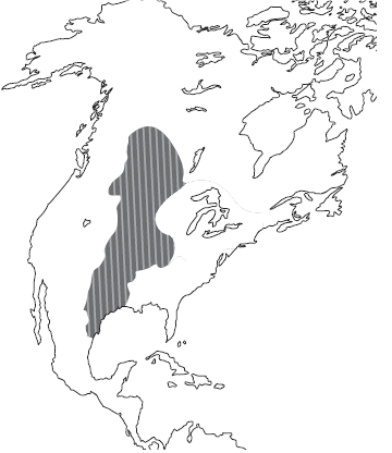03007a36-7ad6-360x416.png