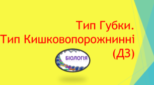 Тип Губки. Тип Кишковопорожнинні (ДЗ)