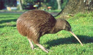 03007cmt-e203-670x400.jpg
