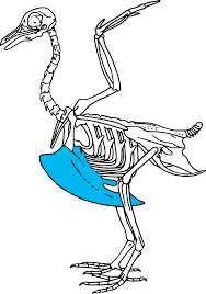 03007cpn-4af2-188x268.png