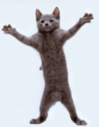 03007dbg-892b-200x255.gif
