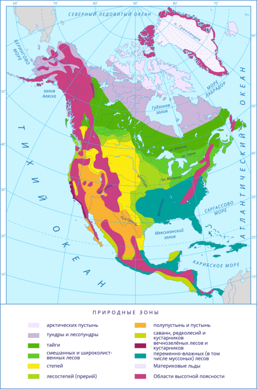 03007ebp-26cc-529x800.png