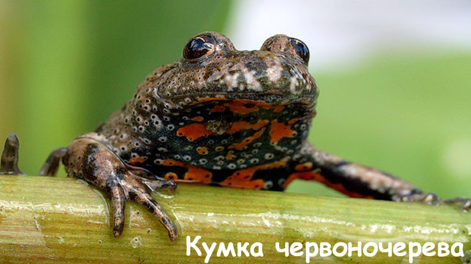 03007mmu-d785-940x527.png