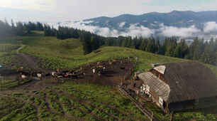 Карпати
