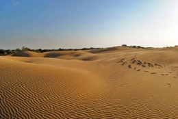 03007p2k-8e67-409x274.png