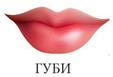 03007psp-8060-273x186.jpg