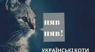 17 лютого - День кота в Європі