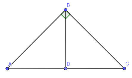 03007uod-3a39-443x261.jpg