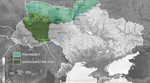 Вивчаємо лісові природні зони України