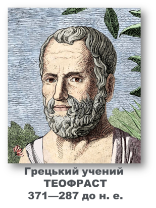 03007xmo-a887-642x852.png