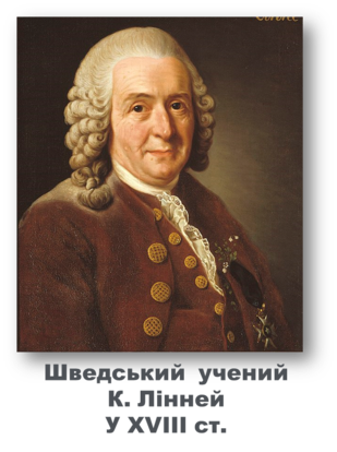 03007xnh-97a9-641x859.png