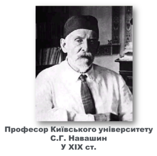 03007xpx-8cc5-885x879.png