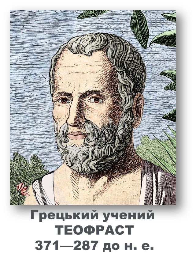 03007xre-0aa8-641x852.png