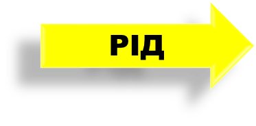 03007y4y-1393-373x184.png