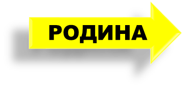 03007y53-c961-373x185.png