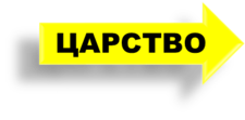 03007y6c-fd6c-374x184.png