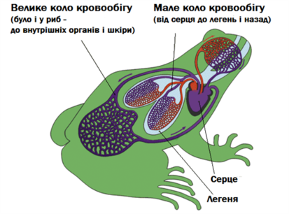 0300843u-b7e3-413x306.png