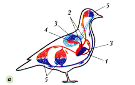 030084cp-717e-536x339.png