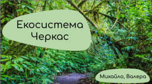 Учнівський проєкт "Дослідження особливостей структури екосистеми м. Черкаси"