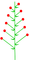 030085vx-2a68-100x202.png