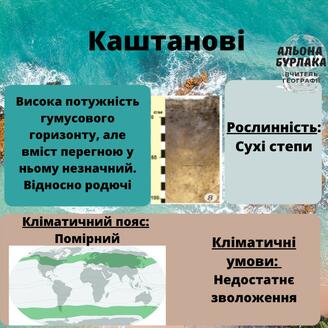 На зображенні може бути: текст