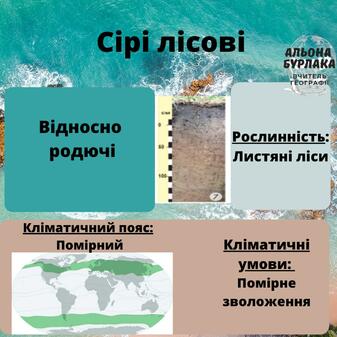 На зображенні може бути: текст