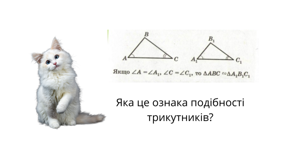 030087y8-cf73-940x529.png