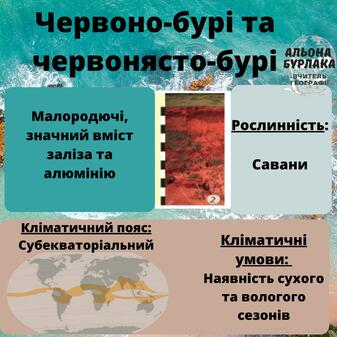 На зображенні може бути: текст