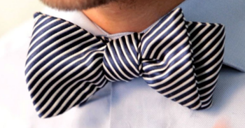 03008828-5eb2-350x183.png