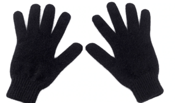 0300883k-b646-350x206.png