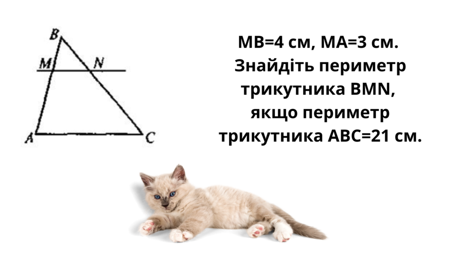 030088kn-99eb-940x529.png