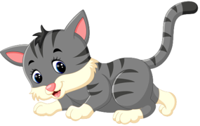 03008b0m-2f87-285x179.png