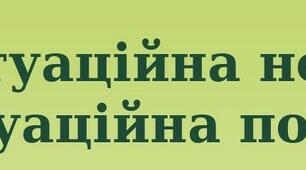 Презентація на тему "Пунктуаційна норма. Пунктуаційна помилка" (11 клас)