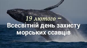 Всесвітній день захисту морських ссавців (День китів)