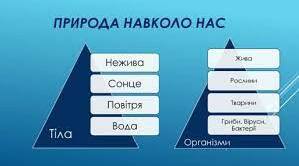 Організм та його властивості. Клітинна будова організмів