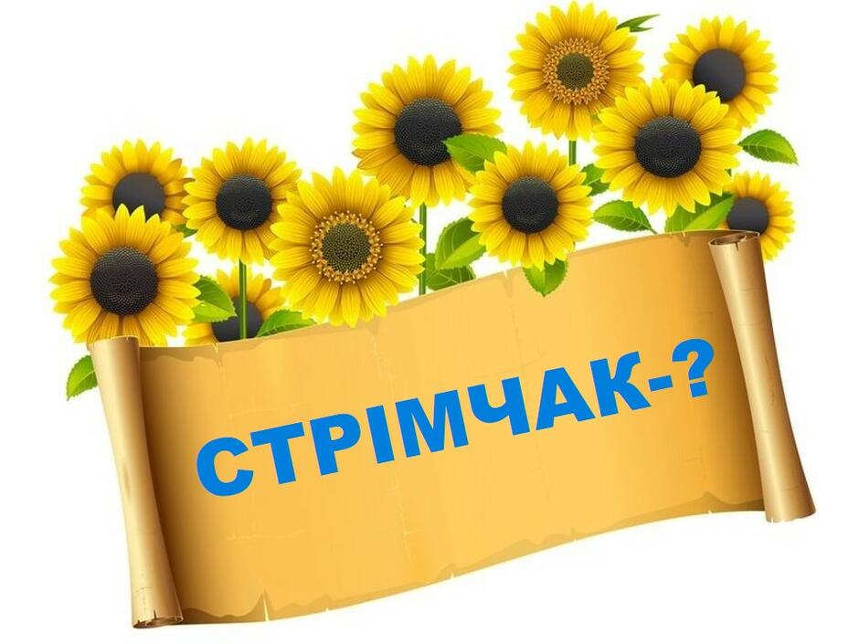 03008h7e-b2da-940x705.jpg