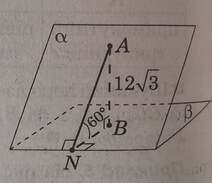 03008mmf-14ea-212x183.jpg
