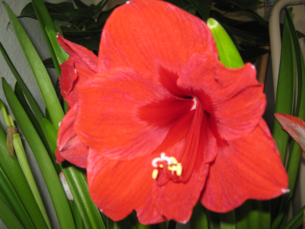 03008o14-d460-446x335.png