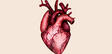 03008q17-9ab2-112x54.jpg