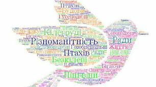 Різноманітність птахів