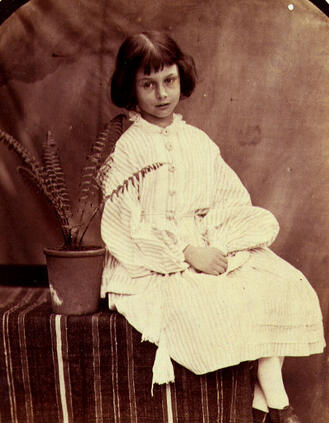 03008t01-e691-329x423.jpg