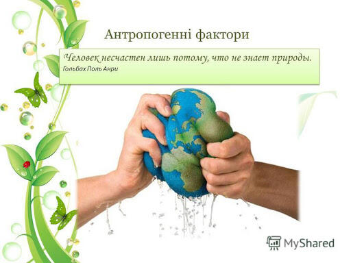 03008ul0-8773-512x384.jpg