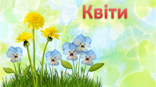 Презентація "Рідна природа "Квіти"