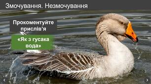 Змочування. Незмочування. Капілярні явища