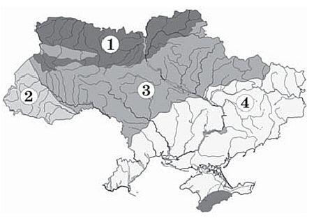 03008wro-4098-450x313.jpg
