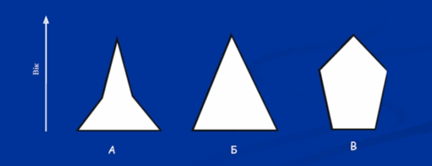 03008zv2-19d5-487x188.png
