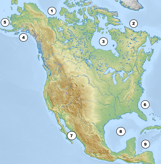 030090ui-38e0-546x558.png