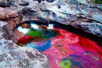 Каньо - Кристалес (Caсo Cristales — Кристальная река), или река Пяти цветов