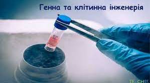   Генетична і клітинна інженерія. ГМО.(11 клас. Профіль)