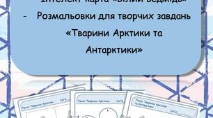 Тварини Арктики та Антарктики. Інтерактивні завдання